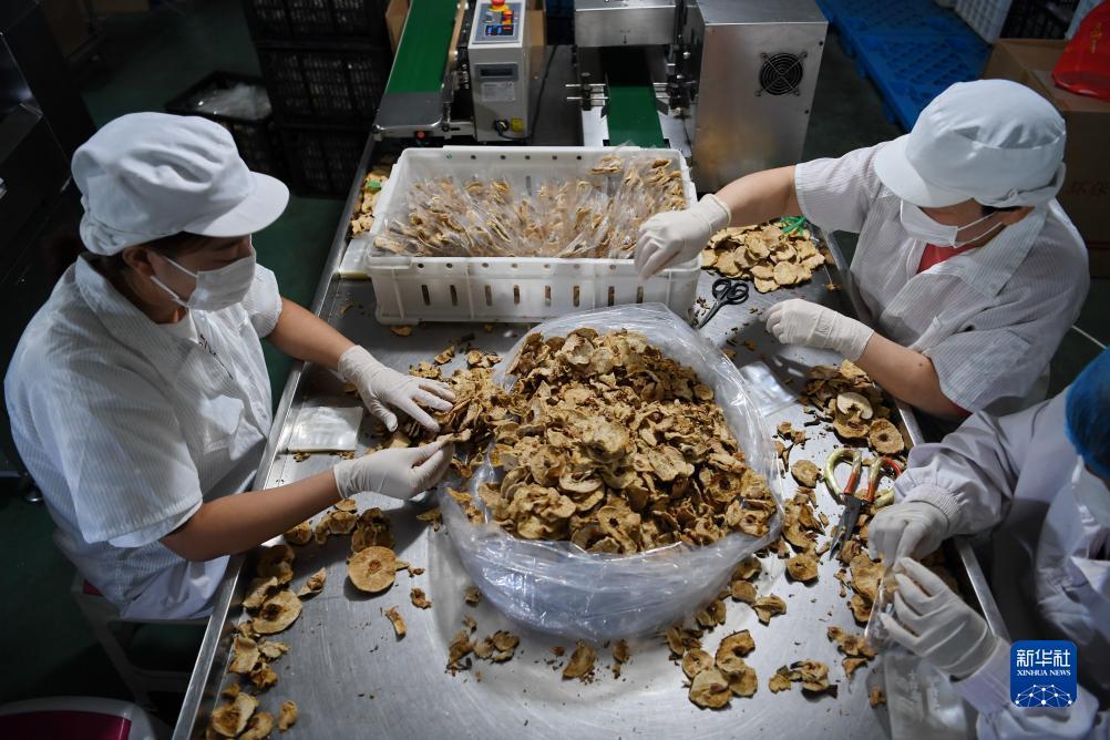 pg电子在线试玩
